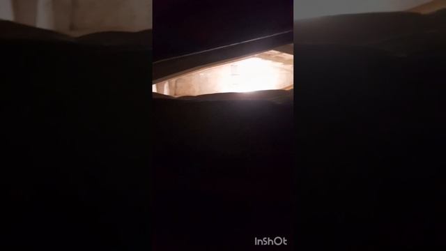 Отбор проб по пшенице. Объем 4000 тнн.