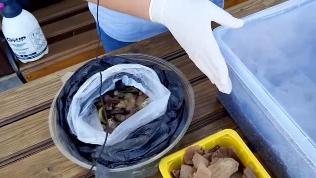 ТТ3 Заселение коконов в вермикомпостер часть вторая смотреть онлайн