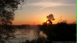 Утреннее пение птиц. Morning birdsong.