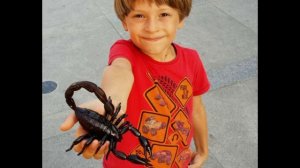 Дети знаки зодиака. Характер по знаку зодиака