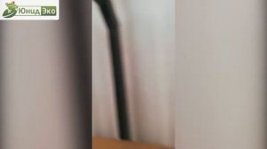 [ТИНГАРД] - Обзор Новой Модели Погреба Т 3000!