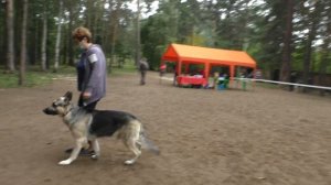 МОНО ВЕО ПРК рядовость Дэнвер