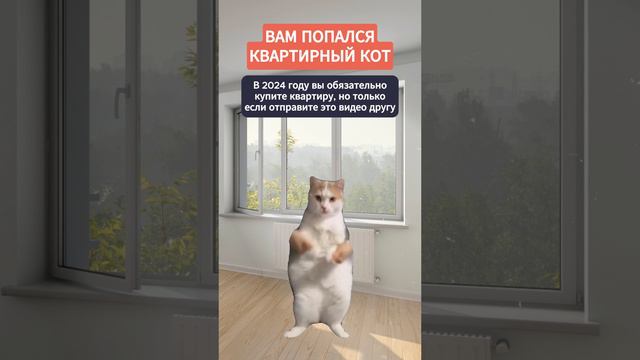 Котики не врут!