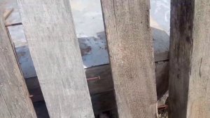 Как сделать лежак из поддона за 15 минут