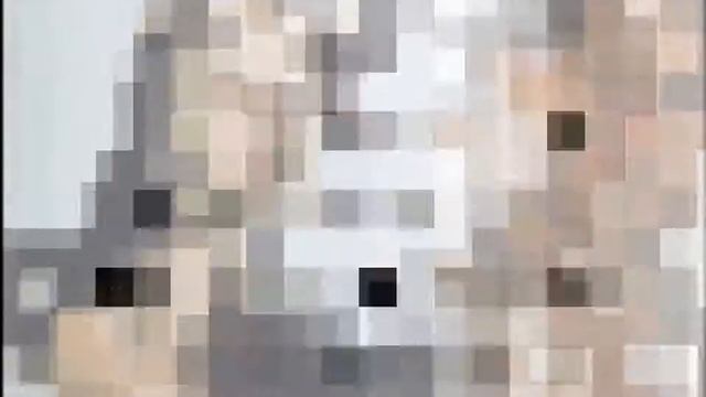 Семинар "Мужские стрижки - классика и креатив". ARTEMLUBIMOV смотреть онлайн