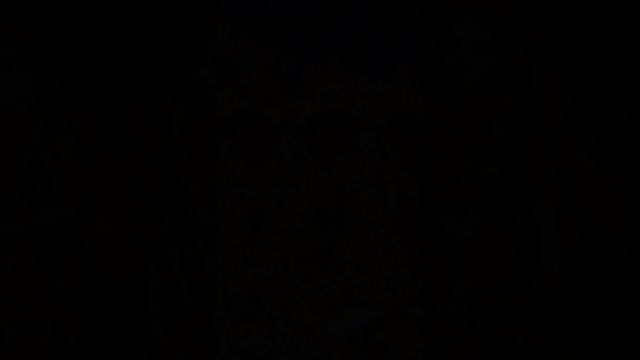 Поздравляем с Радхаштами! Поделитесь этим видео с друзьями)