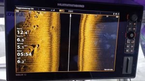 Рыба,камни ?  Solix 12G3 & Garmin 8412