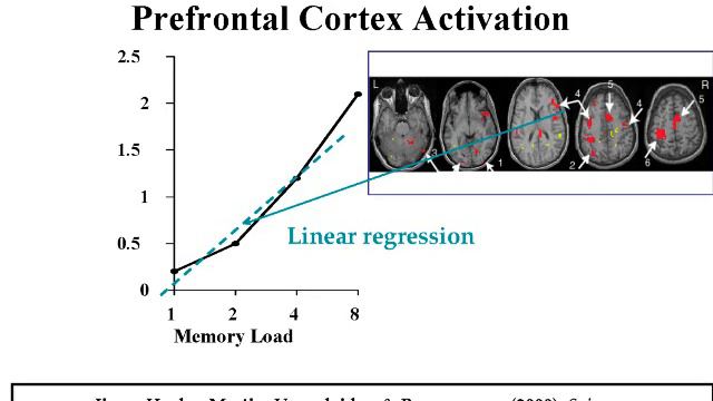 Dr. Raja Parasuraman -- Neuroergonomics смотреть онлайн
