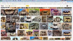 Поиск картинок. Графический дизайн.