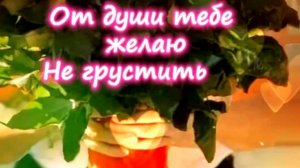 Красивое пожелание в день Ангела  Светланы. 💗С Днём Ангела, Светлана!