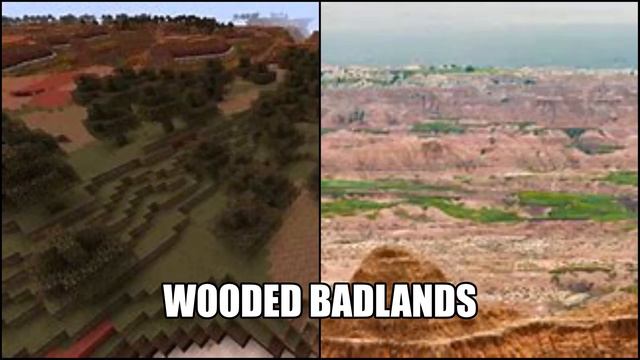 Minecraft Biomes And Their Real Life Counterparts смотреть онлайн