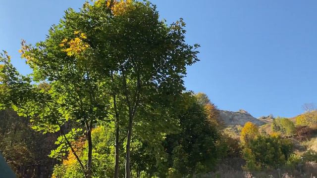 Предгорье Кавказа