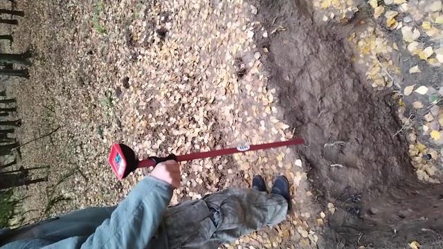 Магнитометр Гефест 4 ходовой поиск, стабильность.