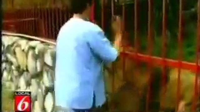 Лев обнимает свою спасательницу смотреть онлайн