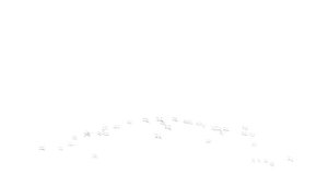 весенняя охота на гусей в тверской области 2023