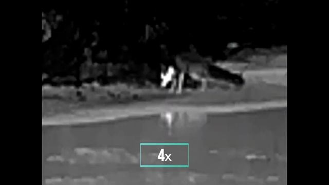 Тепловизор iRay xEye E3W -- ОТ МЫШКИ ДО САМОЛЁТА --видео №1 ЛИС! смотреть онлайн