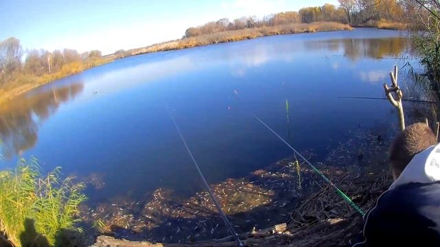 Наконец-то карась! Когда нигде не клюет, Воха и Колян едут в тайное место. смотреть онлайн