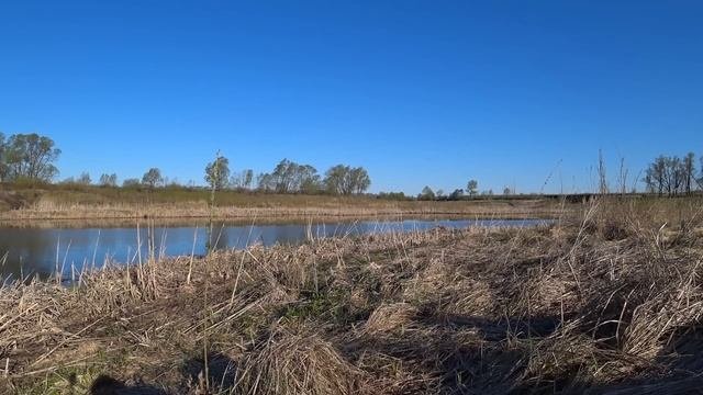 ЧТО ПРОИСХОДИТ НАШЁЛ ЦЕЛУЮ ПАЧКУ КОП МЕТАЛЛОЛОМА КОПАЛ ПОКА ЕСТЬ СИЛЫ.