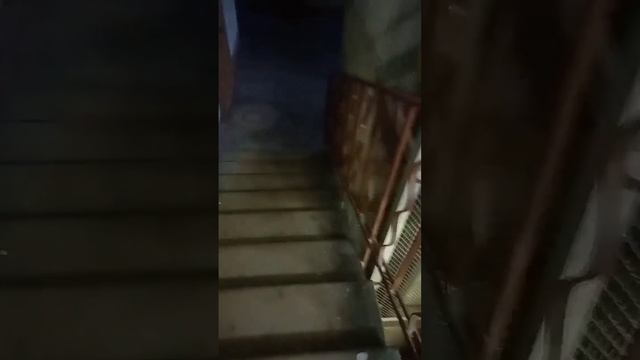 Лифт СТИЛКОН МОД ПОД ЩЛЗ , 1 м/с. С. Петербург, пр. СТАЧЕК. Серия дома: Свечка. 9 этажей. смотреть онлайн