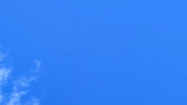 20 февраля обзор голубей смотреть онлайн