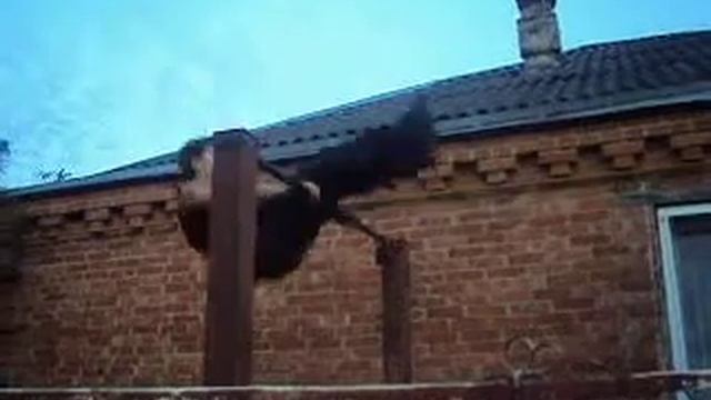 Спад в подъем разгибом смотреть онлайн