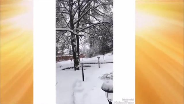 (Лиза и Гарри)-февраль -СВЕТЛОЕ ВОСКРЕСЕНЬЕ.МОЛИТВА ГАРРИ. М.ГАЛКИН РАЗГОВАРИВАЕТ С ВОРОНОЙ.