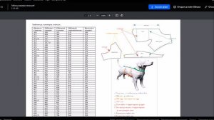 Как выбрать готовую выкройку на собаку.