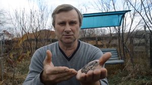 Кто такая чесночница. Нескучная жизнь.