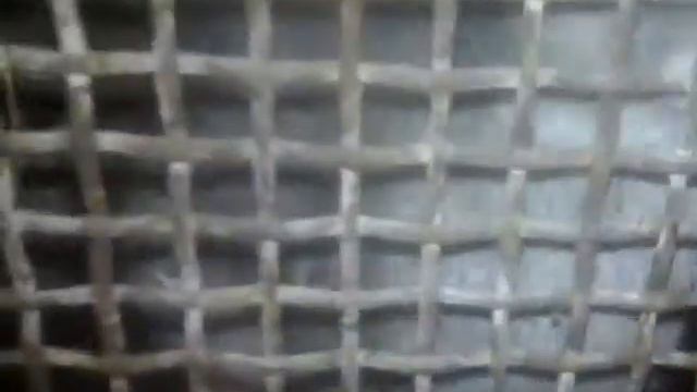 Новогодние кролики приехали смотреть онлайн