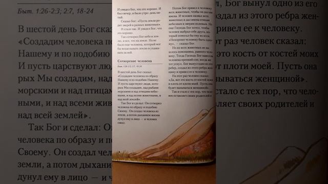Рассказ 2. СОТВОРЕНИЕ ЧЕЛОВЕКА. Быт.1:26-2:3; 2:7,18-24. БИБЛИЯ в пересказе ДЛЯ ДЕТЕЙ. ВЕТХИЙ ЗАВЕТ