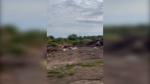 Несанкционированную свалку в селе Дубровичи ликвидируют в ближайшие дни