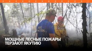 В Якутии лесные пожары охватили больше 60 гектаров / РЕН Новости