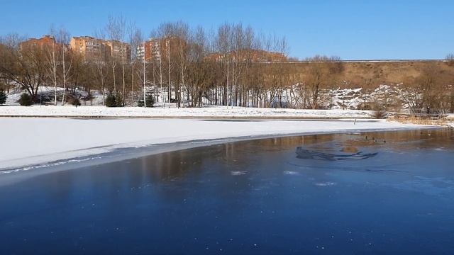 Лена и Ваня LIFE \ Шокирующие подробности личной жизни Лены! \ Обзор влогов
