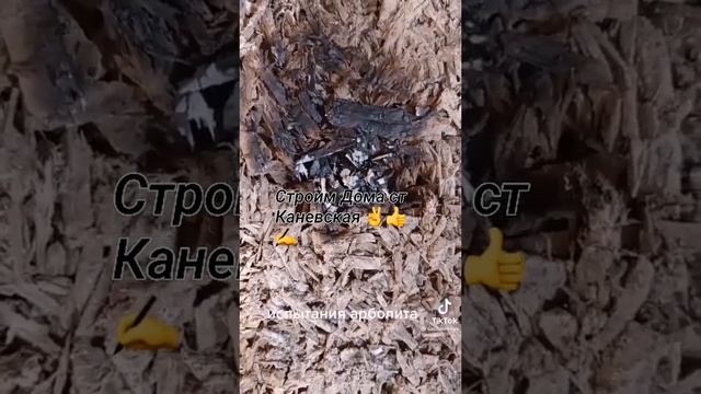 испытания арболита огнём, строим дома из арболита 89186922458, строим дома ст каневская