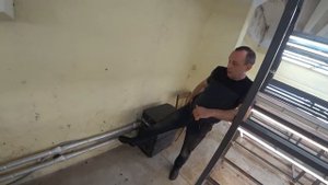 Как вырастить тюльпан в закрытом помещении