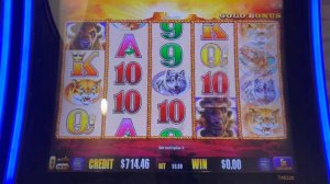 💥 CAN WE GET 15 GOLD HEADS THIS TIME?! Buffalo Gold Slot Play