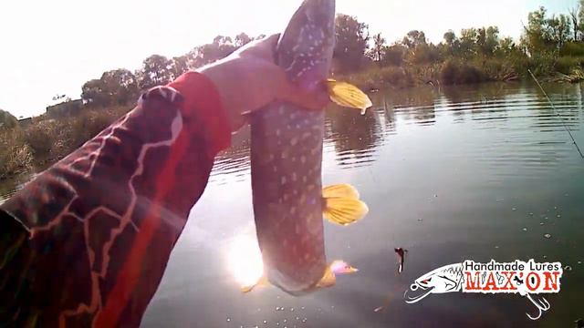 ЗЛЫЕ ЩУКИ отбирают спиннинг!!!!! Поймал свой ТРОФЕЙ 2019 смотреть онлайн