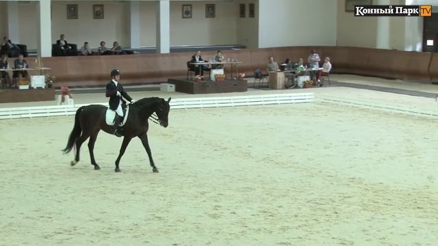 Международные соревнования по паралимпийской выездке CPEDI3*: 1 день