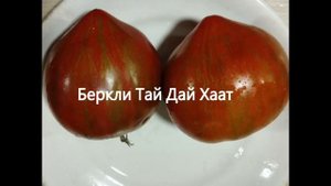 Обновленный Каталог томатов 2023 г. Часть 2. г. Киров.