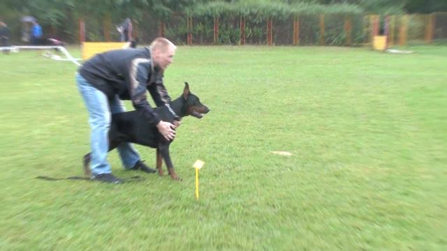 ZTP Russia 2010 102 смотреть онлайн