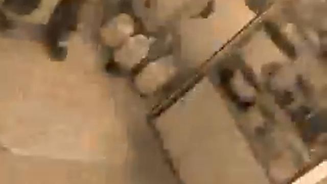 Дельфин - Один на один смотреть онлайн