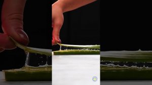 БЕЗОПАСНОСТЬ ПРЕВЫШЕ ВСЕГО! СПАСАТЕЛЬНЫЕ ЛАЙФХАКИ ДЛЯ КЕМПИНГА, КОТОРЫЕ ОБЯЗАТЕЛЬНО НУЖНО ЗНАТЬ