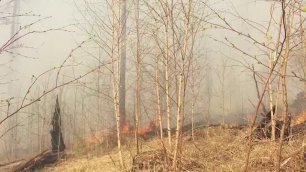 На территории Иркутской области действует около 40 пожаров  В Братске, к счастью, ни одного