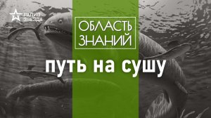 Каким образом рыба превратилась в жабу? Лекция биолога Егора Мусина.