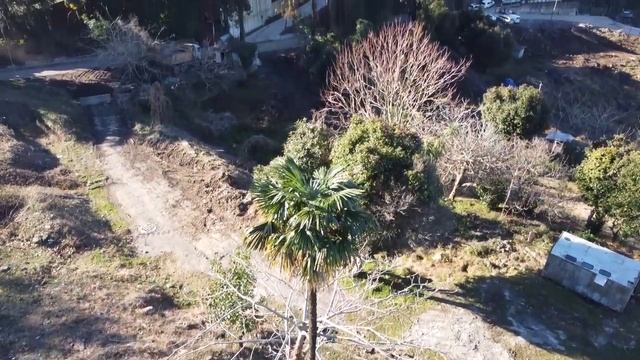 Пикник на развалинах дачи князя Барятинского - наместника на Кавказе. Зелёный мыс, пригород Батуми. смотреть онлайн