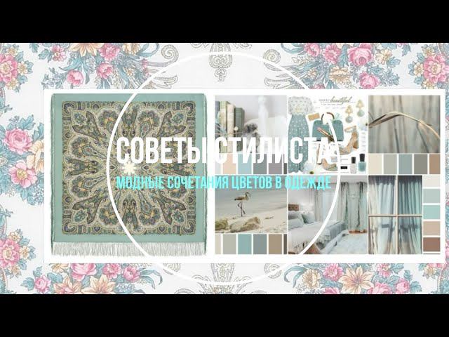 Модные сочетания цветов в одежде и павлопосадские платки. Советы стилистов. Часть 1