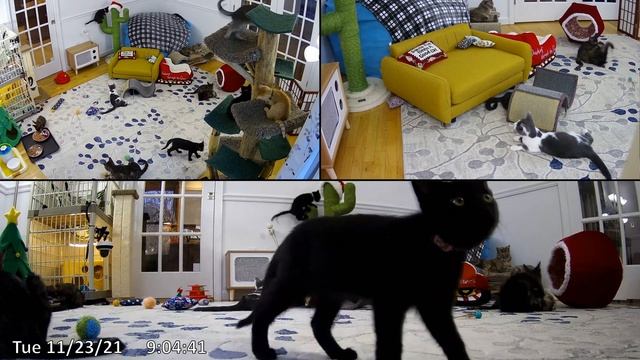 Don't sit so close to the tv ? смотреть онлайн