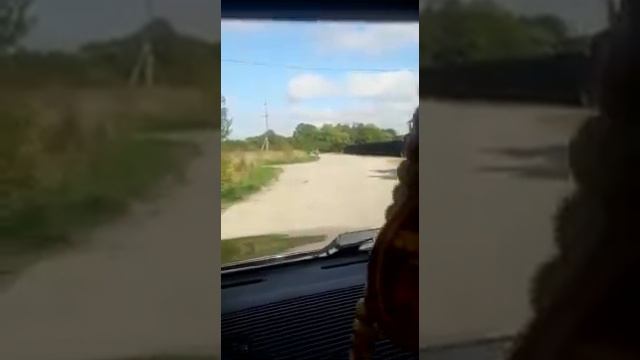Посёлок Новый, СНТ «Поречье», Гурьевский район