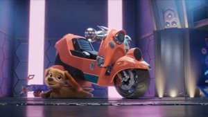 Щенячий патруль/Good Mood (Adam Levine)