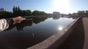 Рыбалка в Калининграде. street fishing . Мормышинг. Плотва и окунь на спининг. река Преголя
